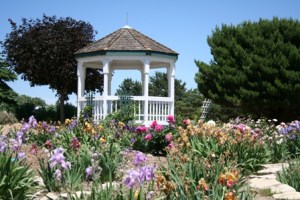 butterfly gazebo2 resiaed for web