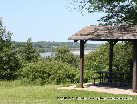 Picnic shelter overlooking Platte River  Copyright R.A. Robbins 2012 Image copyright 2011 by R.O & R.A. Robbins