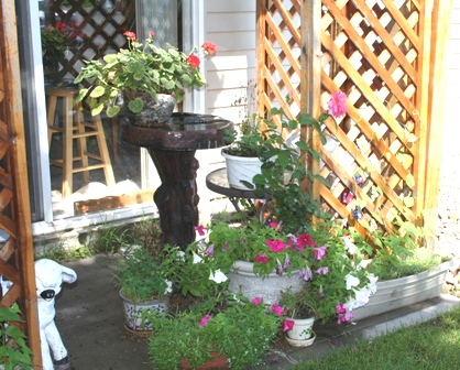 Picture 302 patio 1 resized