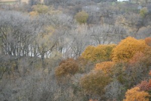 Photo copyright 2009 by R.O. Robbins