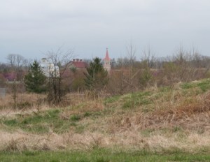 In the Distance 2 resized 20090403_0197