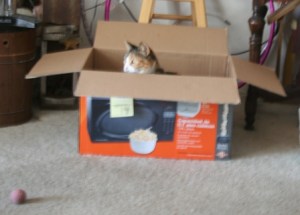 Copyright 2012 by R.A. Robbins