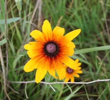 Copyright 2014 by R.O. Robbins