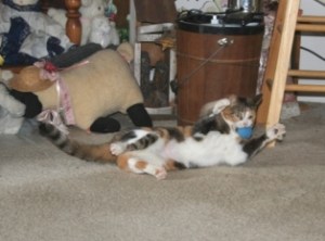 Copyright 2012 by R.A. Robbins