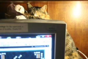 Copyright 2012 by R.A. Robbins