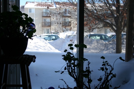 Copyright 2008 by R.O. Robbins