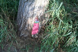 Pink Faerie House Copyright 2013 by R.A. Robbins