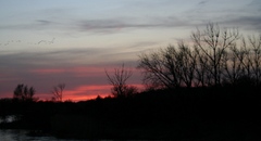 Copyright 2013 by R.O. Robbins