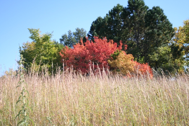 Fall at Chalco #3 Copyright 2013 by R.A. Robbins