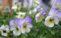 Copyright 2014 by R.A. Robbins