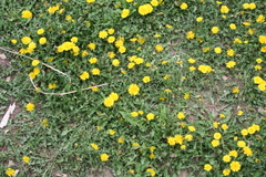 Copyright 2014 by R.A. Robbins