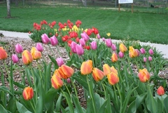 Copyright 2014 by R.A. Robbins