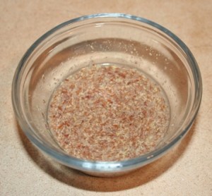 This is a flax seed "egg." Copyright 2013 by R.A. Robbins