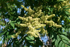 Copyright 2014 R.A. Robbins