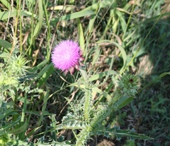 Copyright 2014 by R.A. Robbins