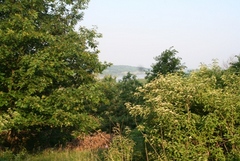 Copyright 2014 by R.A. Robbins