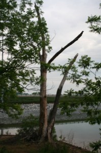 Copyright 2014 R.A. Robbins