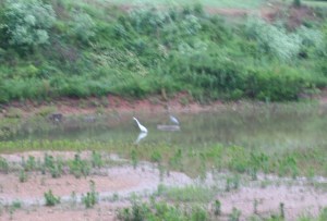 Copyright 2014 R.A. Robbins