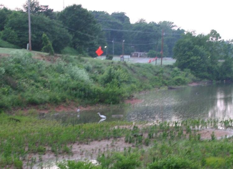 Copyright 2015 by RA Robbins 