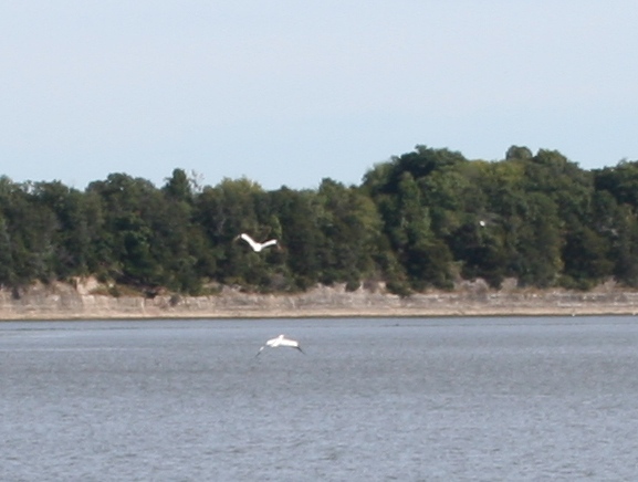 Copyright 2014 by R.A. Robbins