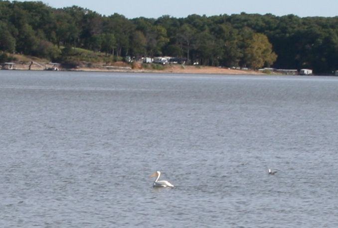 Copyright 2014 by R.A. Robbins