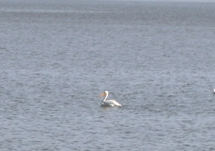 Copyright 2014 by R.A. Robbins