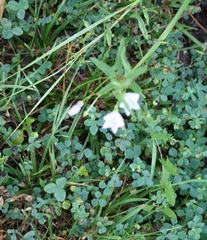 Copyright 2014 by R.A. Robbins