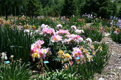 Copyright 2015 by R. A. Robbins