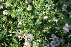 Copyright 2015 by R.A. Robbins