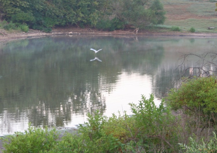 Copyright 2015 by R.A. Robbins