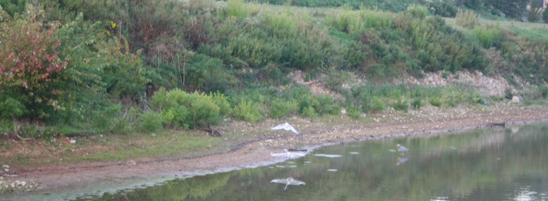 Copyright 2015 by R.A. Robbins