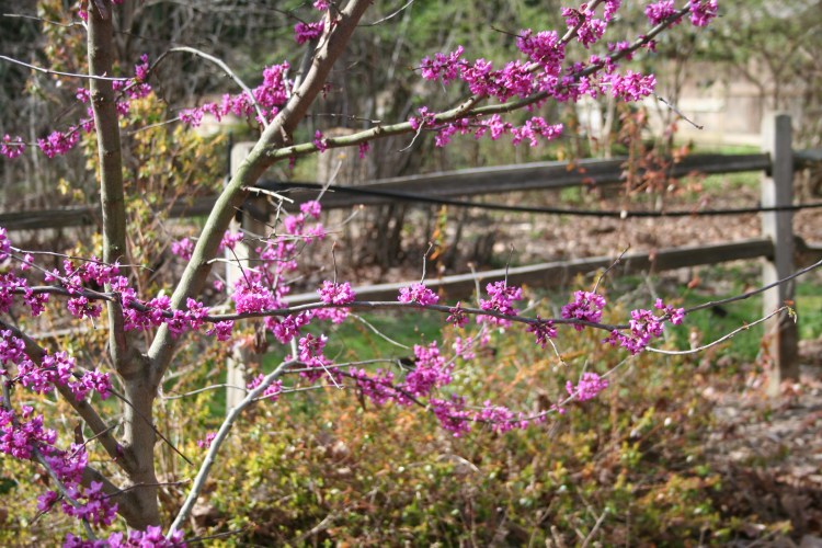 Copyright 2016 by R.A. Robbins