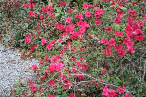 Copyright 2016 by R.A. Robbins