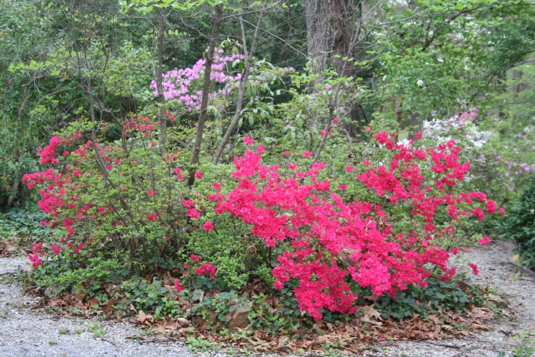 Copyright 2015 by R.A. Robbins