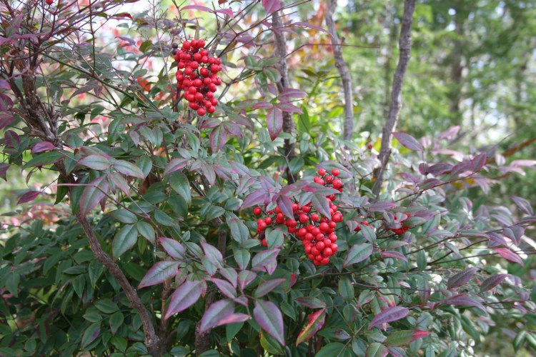 Copyright 2016 by R.A. Robbins