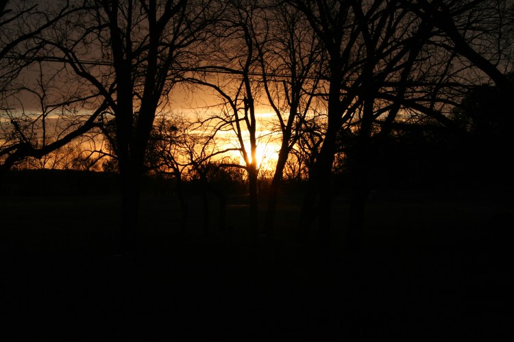 Copyright 2016 by R.A. Robbins