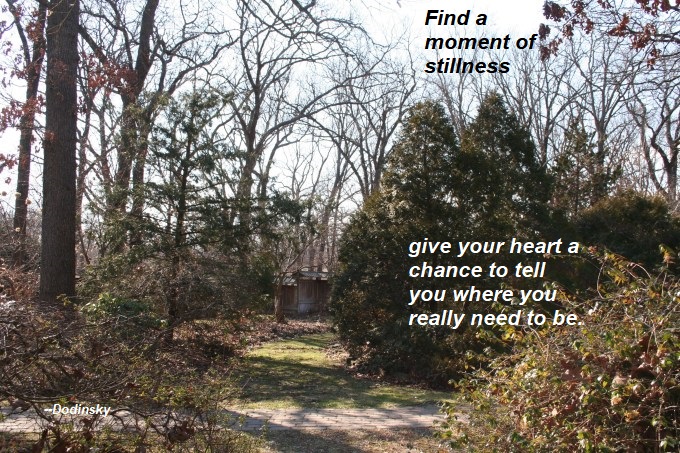 lendonwood-winter-5-orig - 2019 blog image