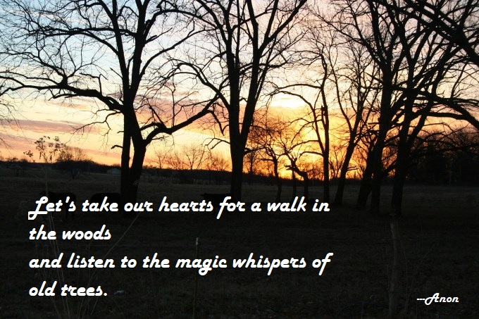 new-morning-sun-photos-002-Blog Post 2019